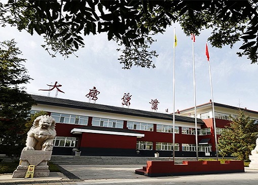 财报解读 | 大唐药业八成核心技术借外来“和尚”念经 蒙药开发或系“噱头”