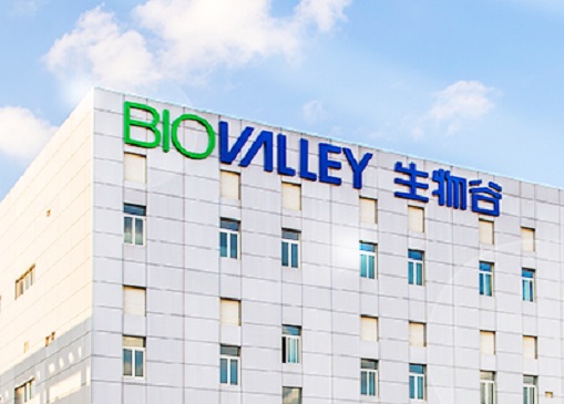 财报解读 | 生物谷：两年“失血”产品单一 为“零人”公司创造上千万元收入