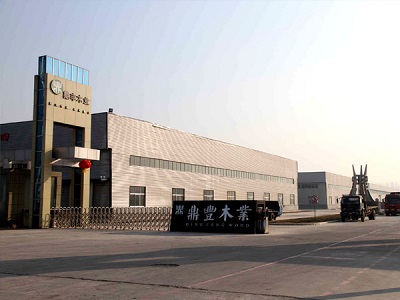鼎丰股份：产销市占率或不足2% 曾通过供应商转贷逾3千万元
