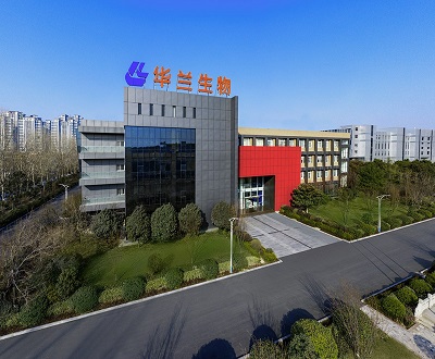 华兰疫苗独董兼职同业公司 信披矛盾流感疫苗真实产能“扑朔迷离”