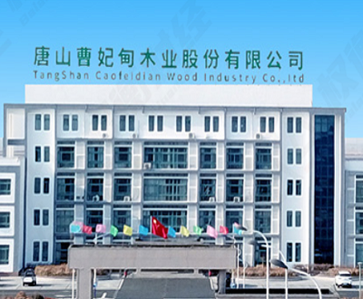 木业股份：签字注会为其服务超五年 前次募投项目遭“搁置”或重启募资