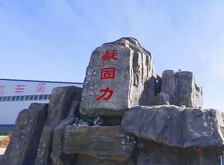 凝固力：关联方同场竞标或“陪跑”  资产及业务独立性之忧齐上演