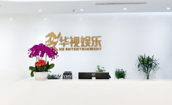 华视集团控股：市场份额不足0.1%  市场研究或依赖第三方机构