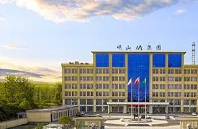 岷山环能：净利润依赖税收优惠及补助 专利发明人履历或与技术背景“错配”