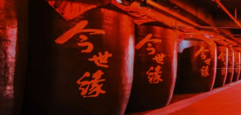 今世缘：年内6月及7月终端动销增速滑坡 终止收购同业企业或现疑云