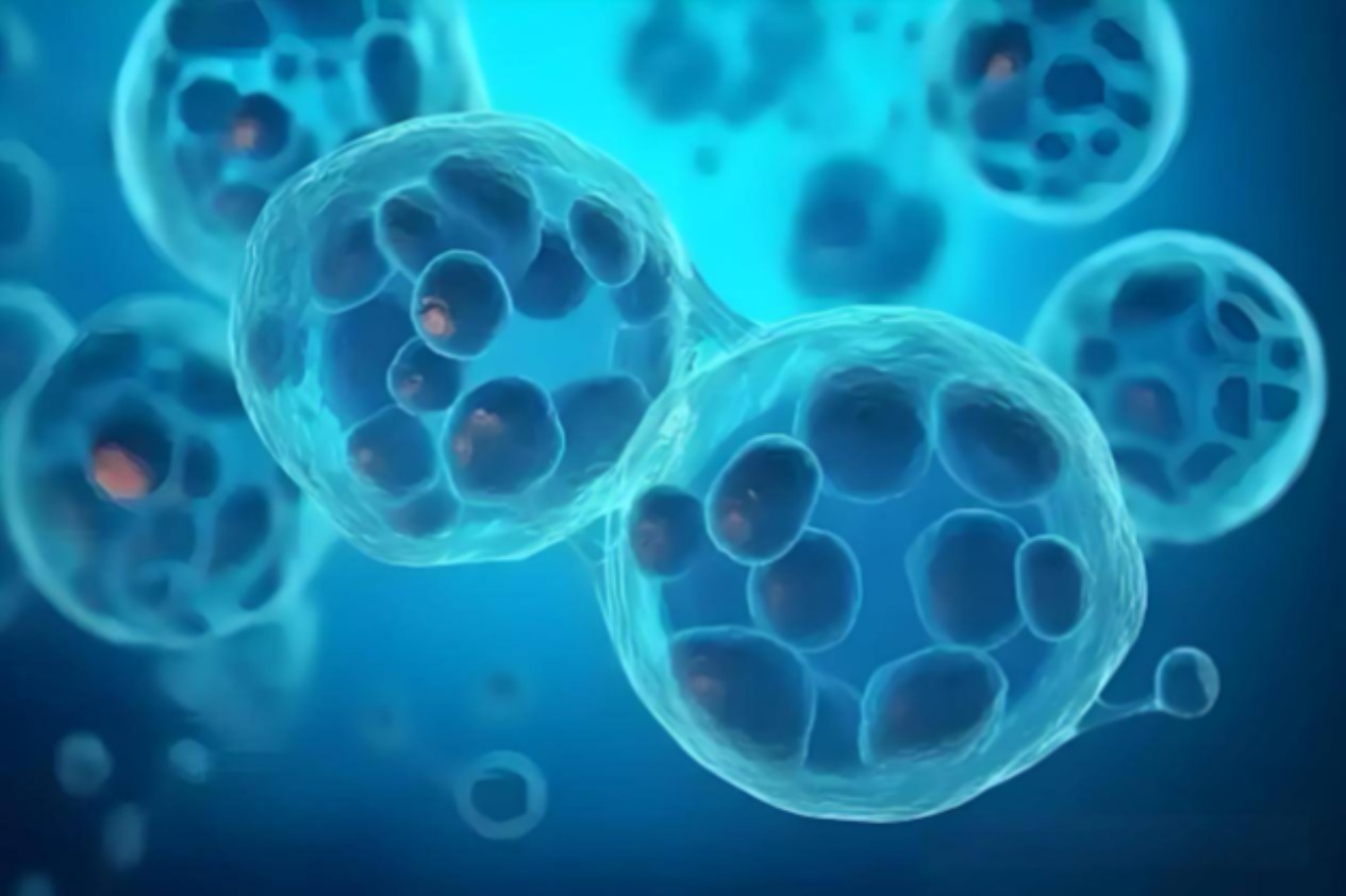 海纳医药：“双降”压顶新增CRO项目数量减少三成 改良型新药研发进度或现疑云