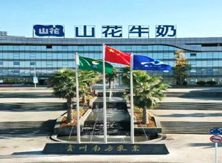 南方乳业频与客户同场竞标 淘汰超四千头牛只而拟投入九千万元购买奶牛